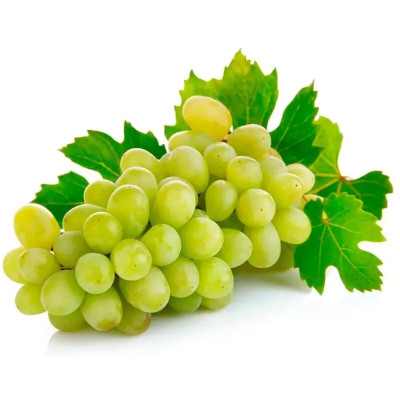 UVA ITALIA - CX 10 BANDEJAS