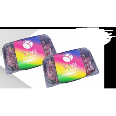 UVA ISIS - CX 10 BANDEJAS