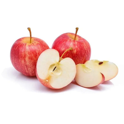 MACA GALA T.110 CAT 1 - CX 18KG