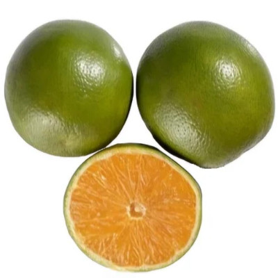 LARANJA PERA 13 DZ MIUDA - CX 20KG