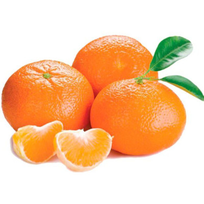 MEXERICA MURKOT - CX 17KG