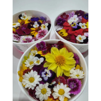 FLOR COMESTIVEL MIX - BANDEJA