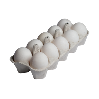 OVO BRANCO PVC C/  20 UNIDADES - BANDEJA