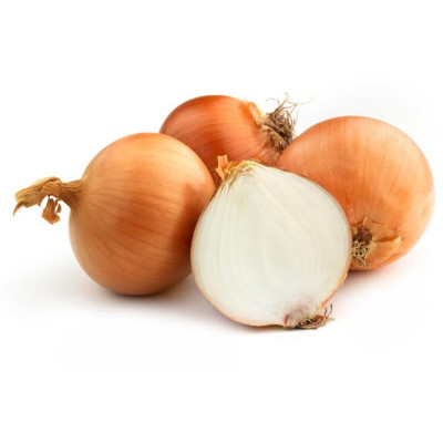 CEBOLA C.3 - SC 20KG
