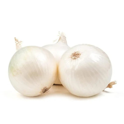 Cebola Albina - SC 10KG