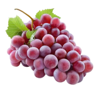 UVA NIAGARA - BANDEJA 500G