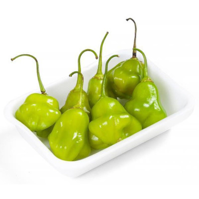 PIMENTA CAMBUCI - BANDEJA