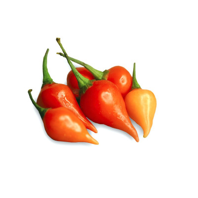 PIMENTA BIQUINHO - KG