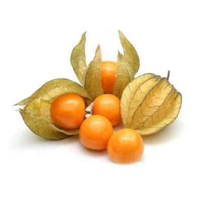PHYSALIS - CX C/ 8 BANDEJAS
