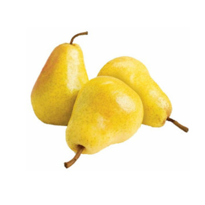 CAMADA PERA WILL - CMD 04,5KG