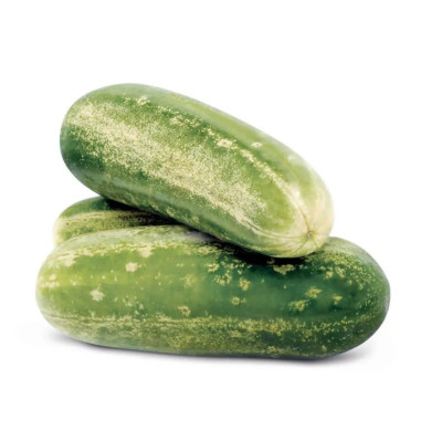 PEPINO CAIPIRA - MEIA CX 10KG