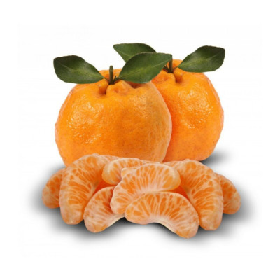 MEXERICA PONKAN - CX 18KG