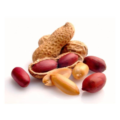 AMENDOIM TORRADO COM CASCA - PCT 500G