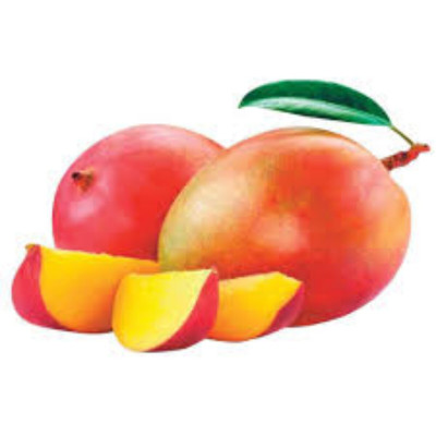 MANGA TOMY - CX 18KG