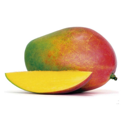 MANGA PALMER - CX 18KG