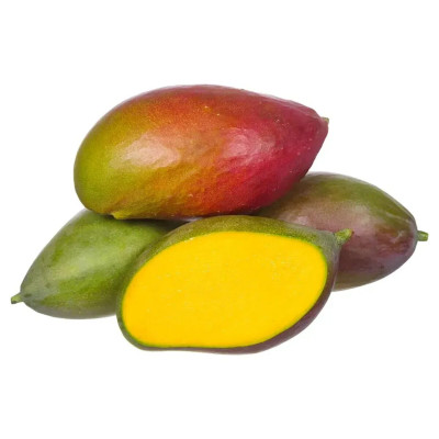 MANGA PALMER - MEIA CX 09KG