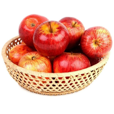 MACA GALA T.165 CAT 1 - KG