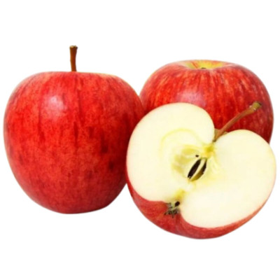 MACA GALA T.135 CAT 1 - CX 18KG