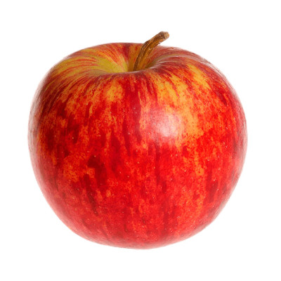 MACA GALA T.120 CAT 1 - CX 18KG