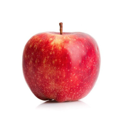 MACA FUJI T.120 CAT 1 - CX 18KG