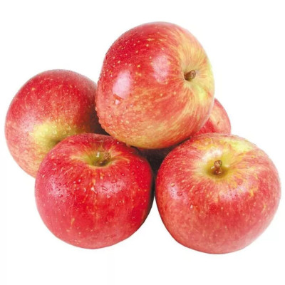 CAMADA MACA FUJI T.120 - CMD 4,5KG