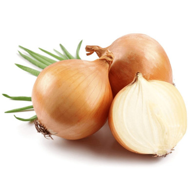 CEBOLA C.2 - SC 20KG