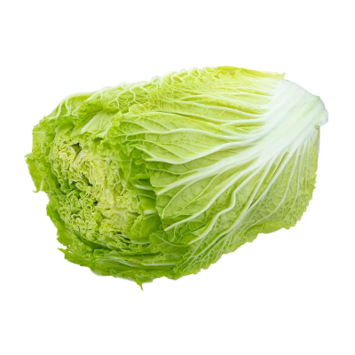 ACELGA - CX C/ 8 UNIDADES