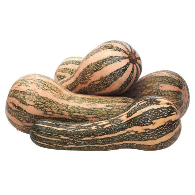 ABOBORA PAULISTA - KG