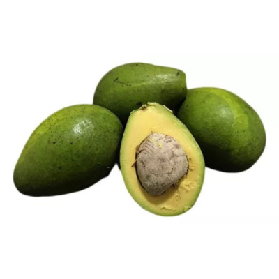 ABACATE FORTUNA - KG